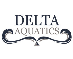 delta logo