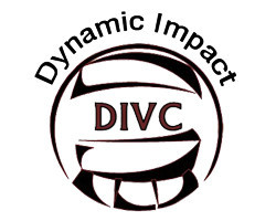 dynamic impact logo