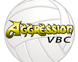 aggression logo